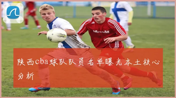 陕西cba球队队员名单曝光本土核心分析