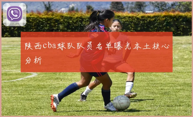 陕西cba球队队员名单曝光本土核心分析