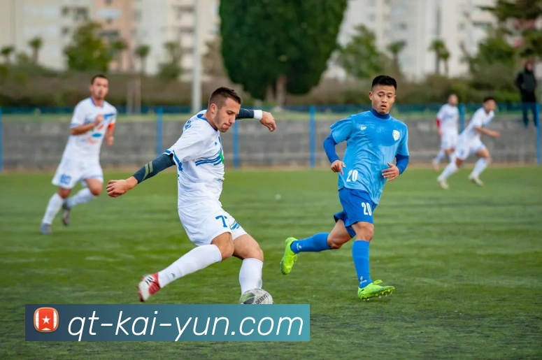 App Interface Preview