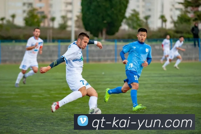 开云appAPP 封面图